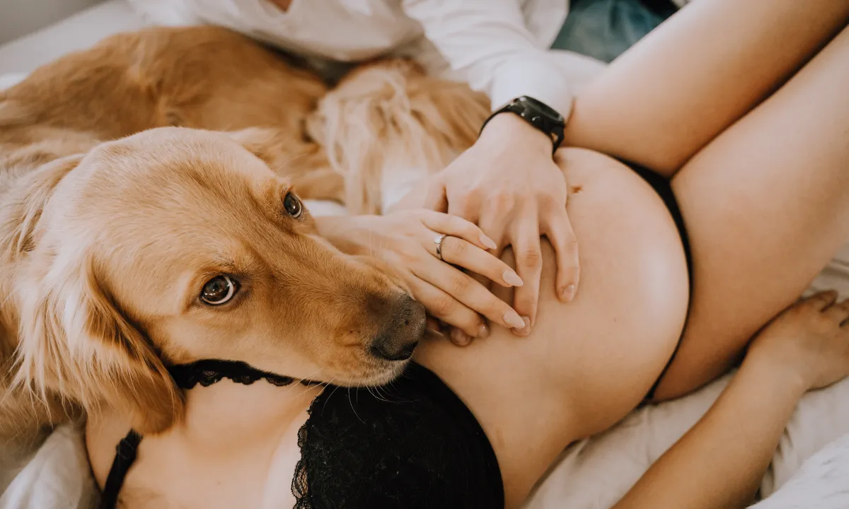 Caroline Bouchard Photographe Laurentides - maternité